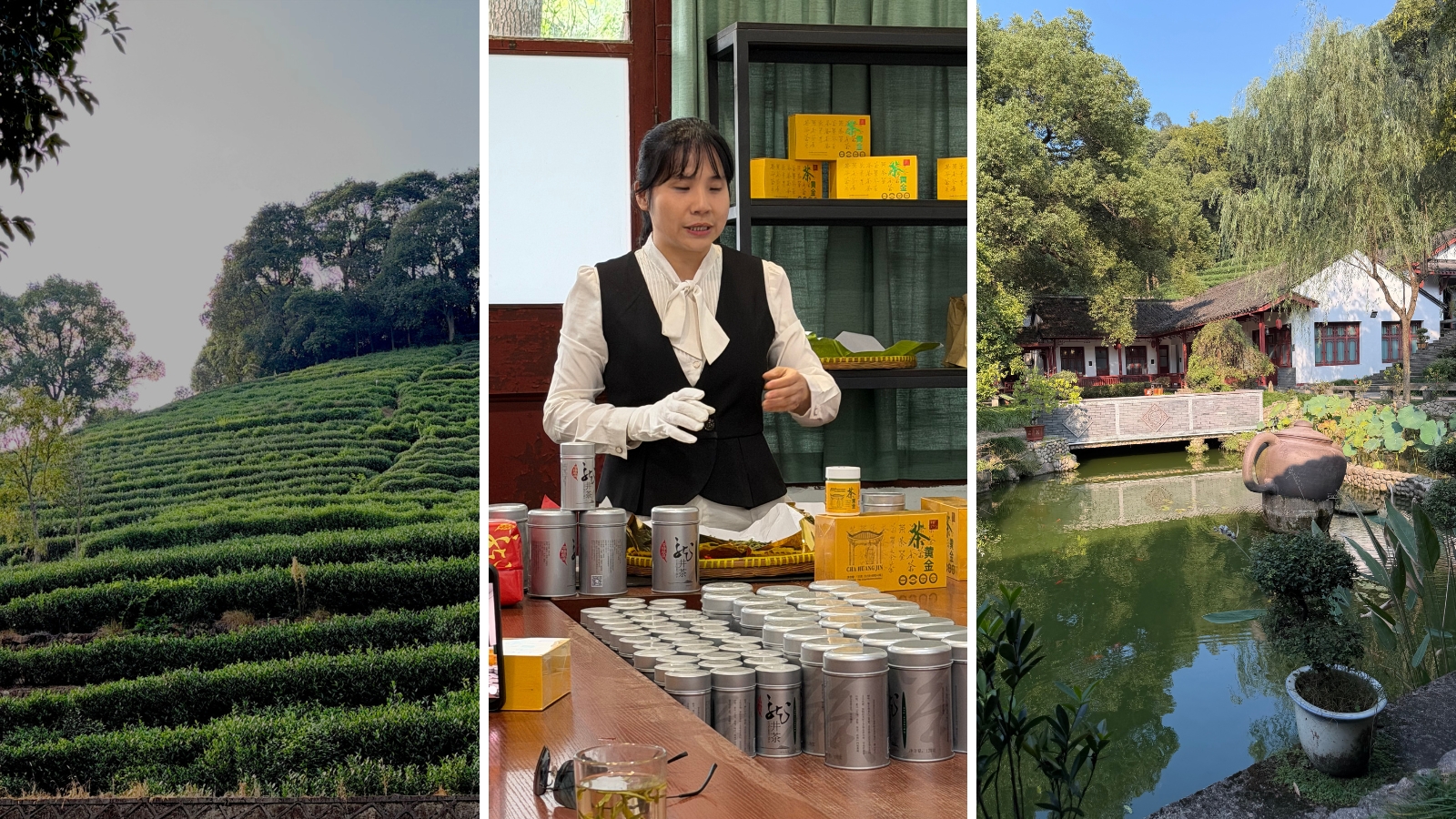 Teafarm in Meijiawu, waar ze Longjingthee verwerken | foto's Nicholas Brown